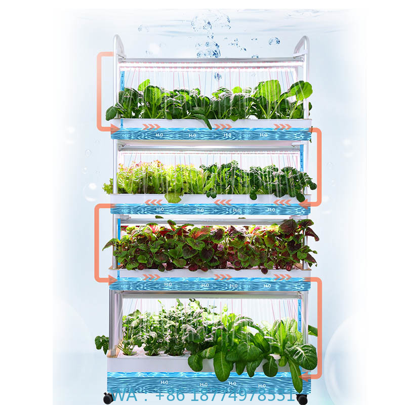 Smart Home Ac - ydroponic plantsysteem Smart Home Automation-systeem te