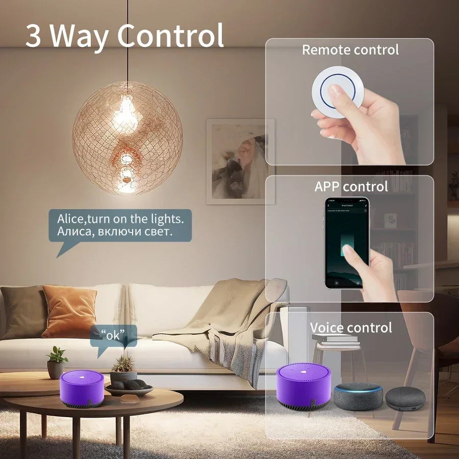 Tuya Wifi Smart Switch RF 433M - Smart Home Voice Assistant recensie en prijs