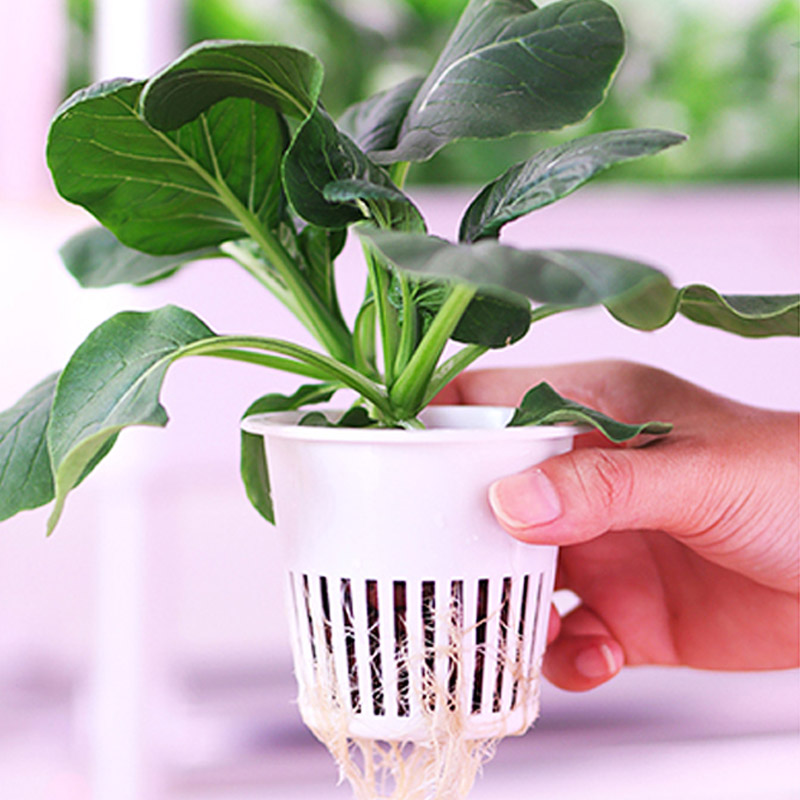 ydroponic plantsysteem Smart H - Smart Home Ac recensie en prijs